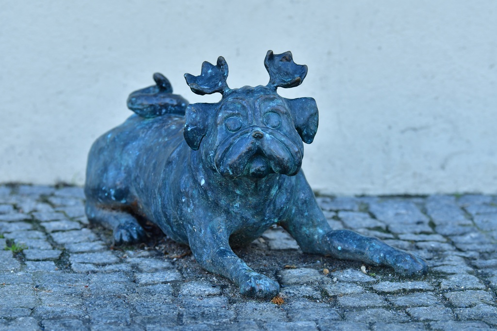 2026-01-08 Brandenburg an der Havel/Waldmöpse/DSC_2273.JPG